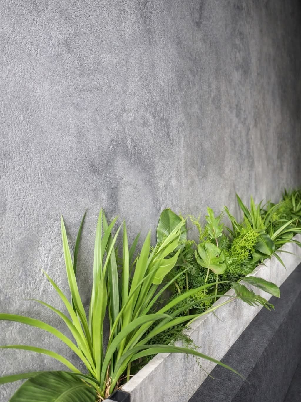 Patina texture planter wall with greenery